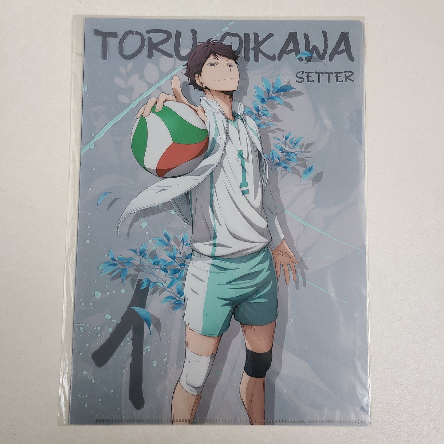 Carpeta single Toru Oikawa