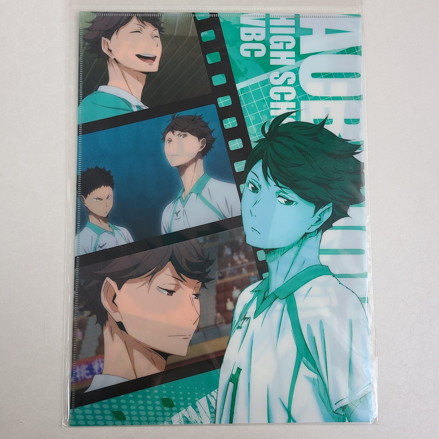 Long Holder Toru Oikawa