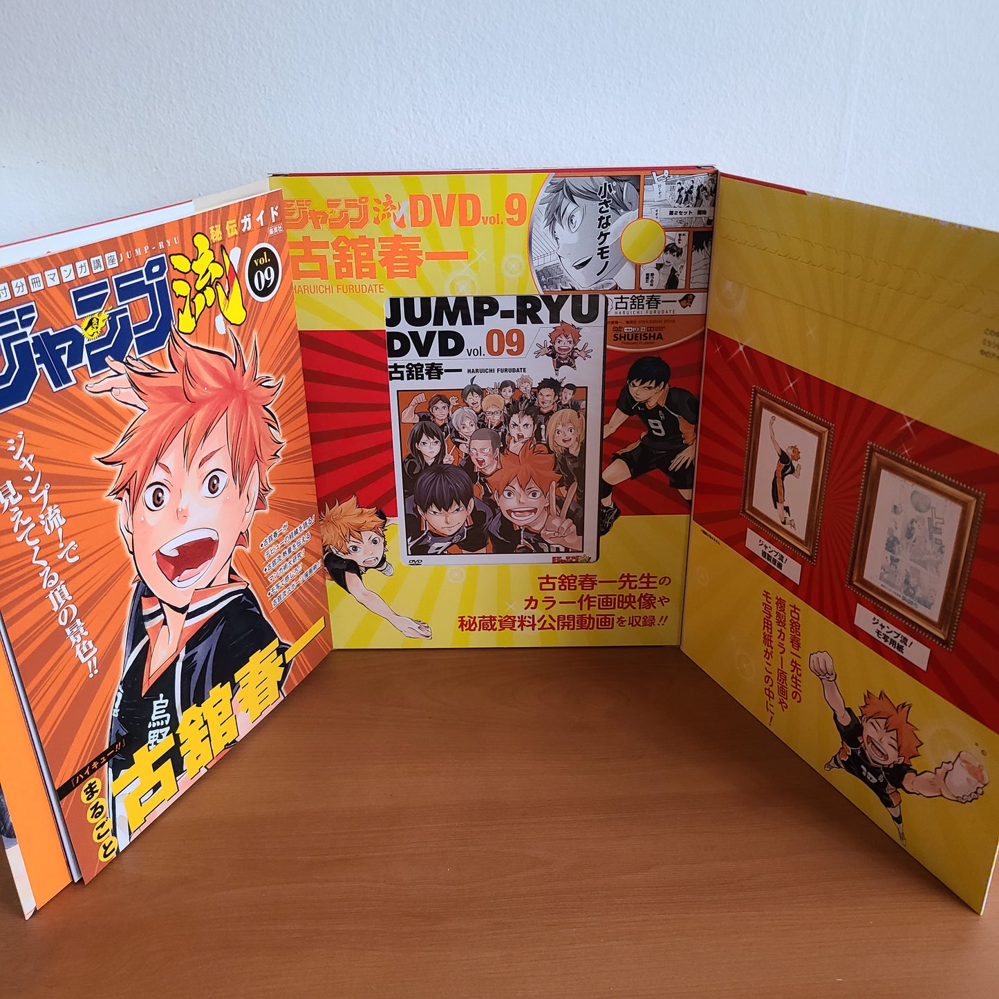 JUMP RYU VOL.9 "Haruichi Furudate / Haikyuu!!" (Shueisha)