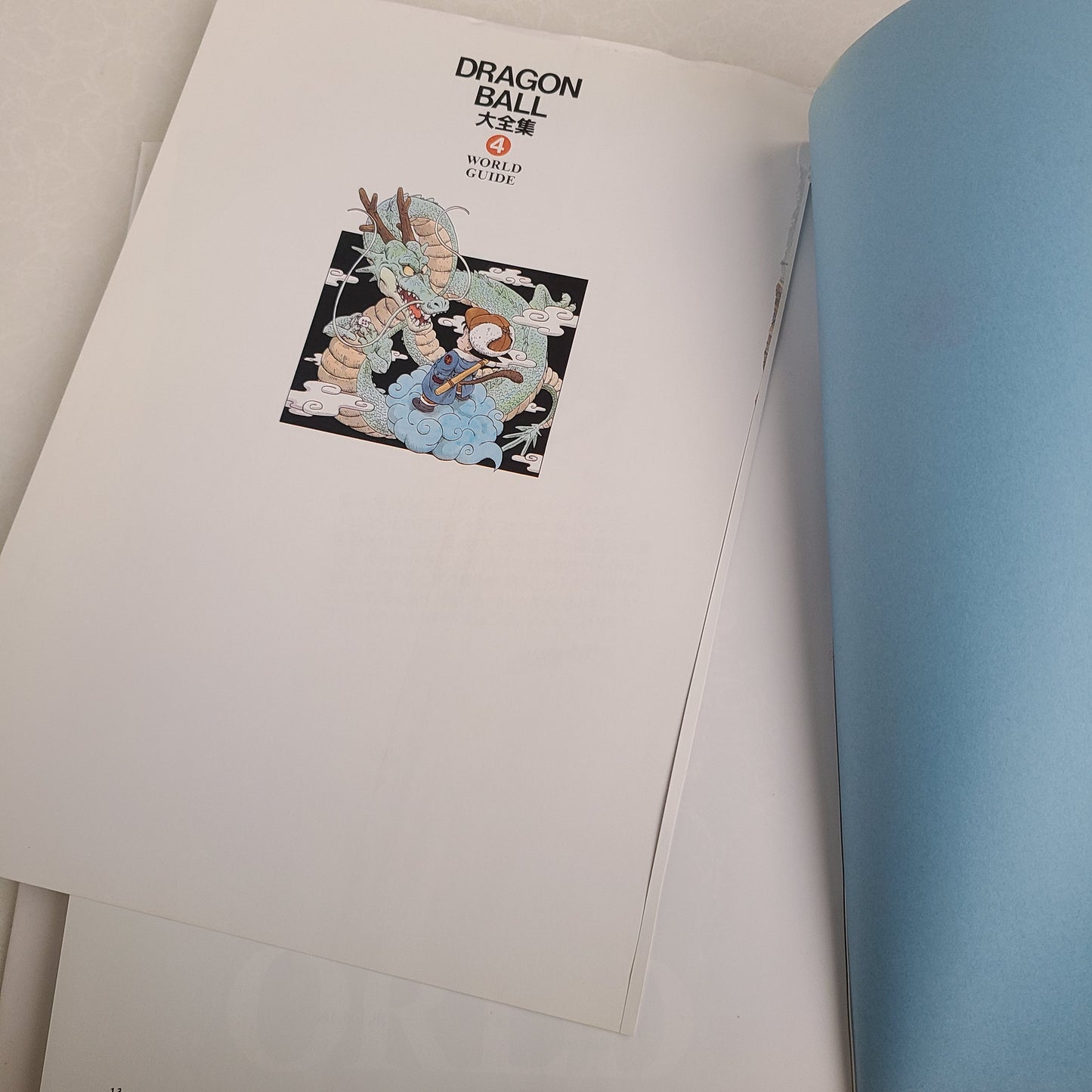 DRAGON BALL DAIZENSHU 4 "World Guide"