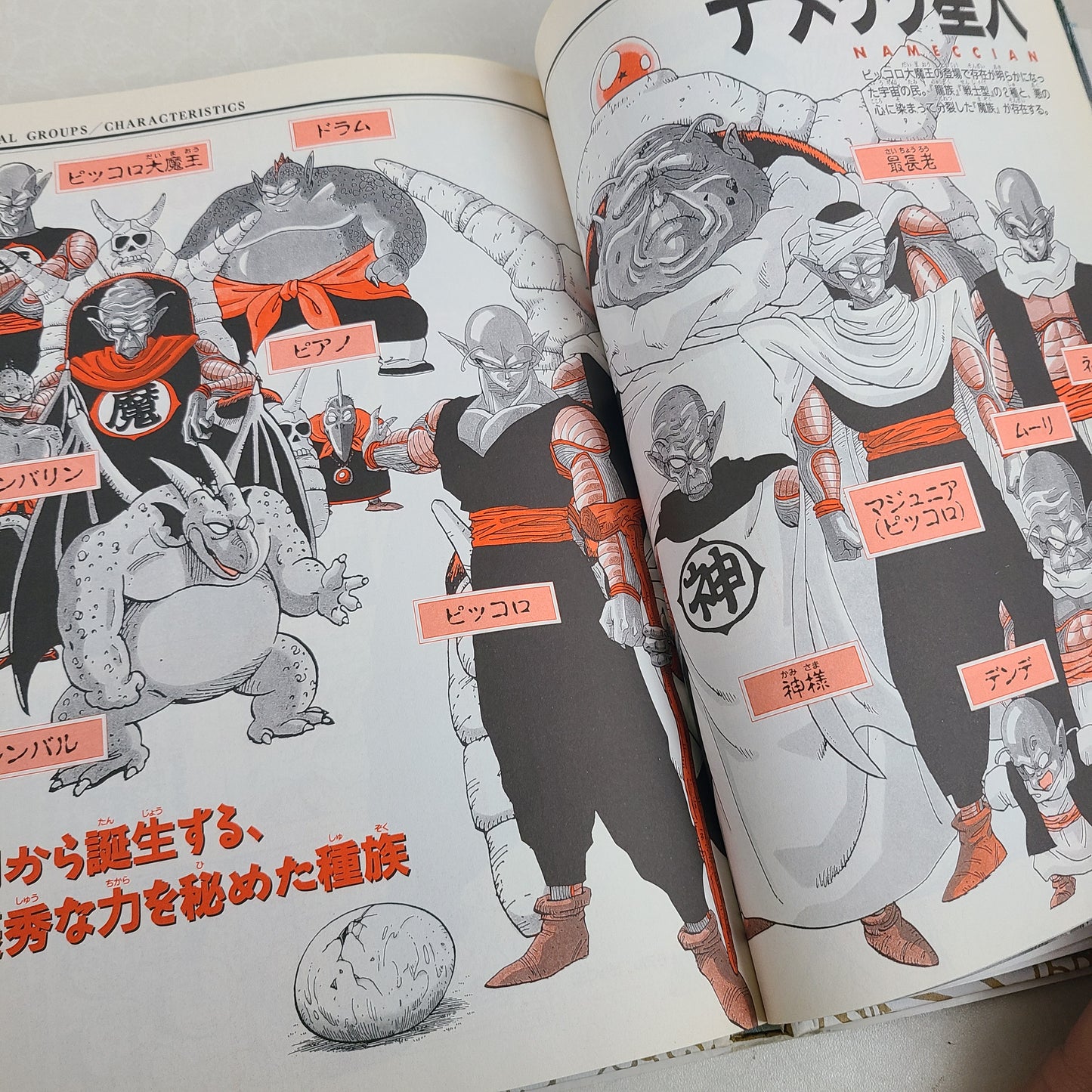 DRAGON BALL DAIZENSHU 4 "World Guide"