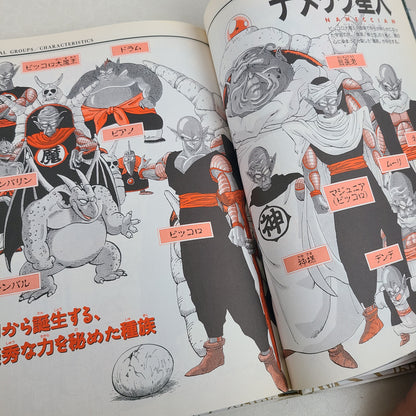 DRAGON BALL DAIZENSHU 4 "World Guide"