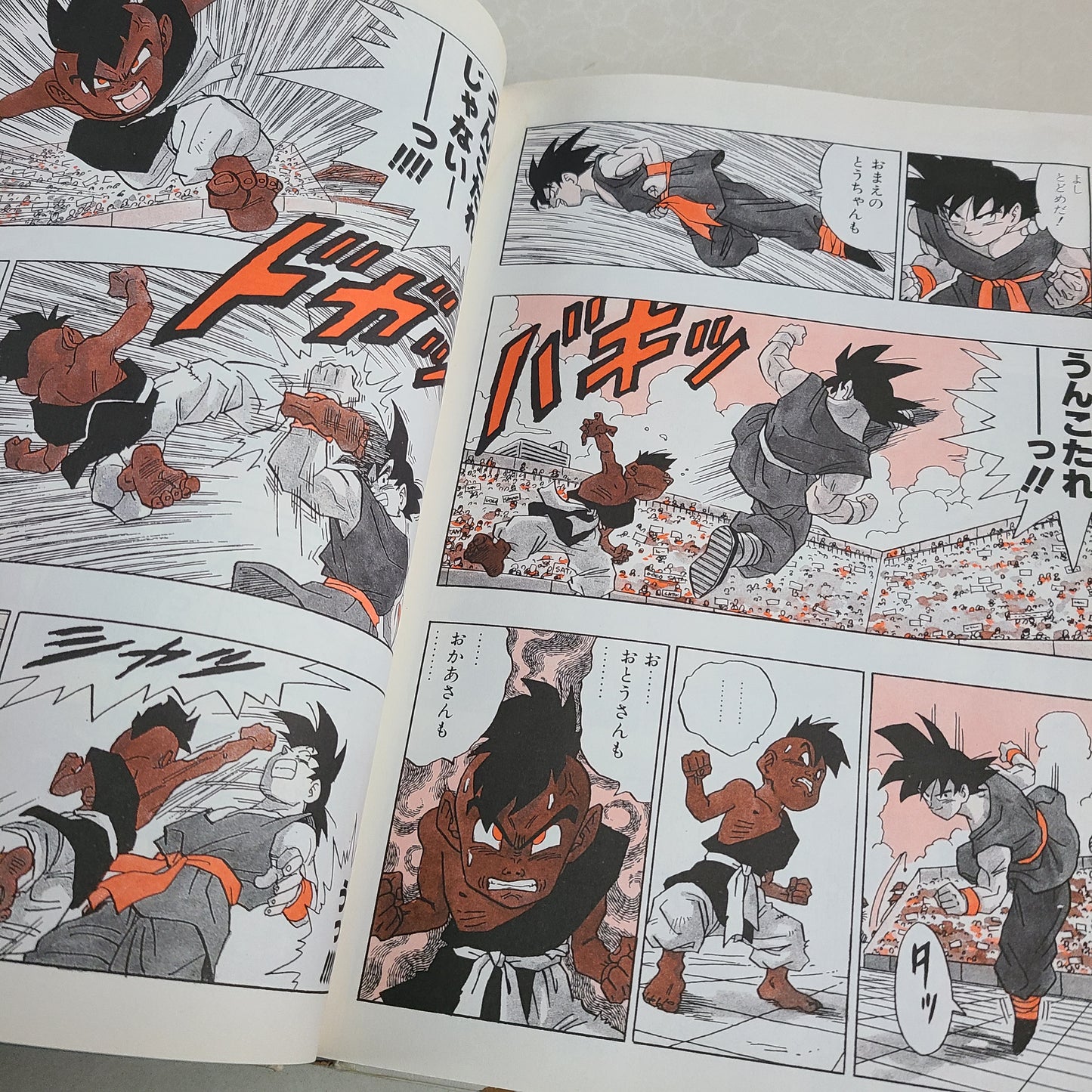 DRAGON BALL DAIZENSHU 4 "World Guide"