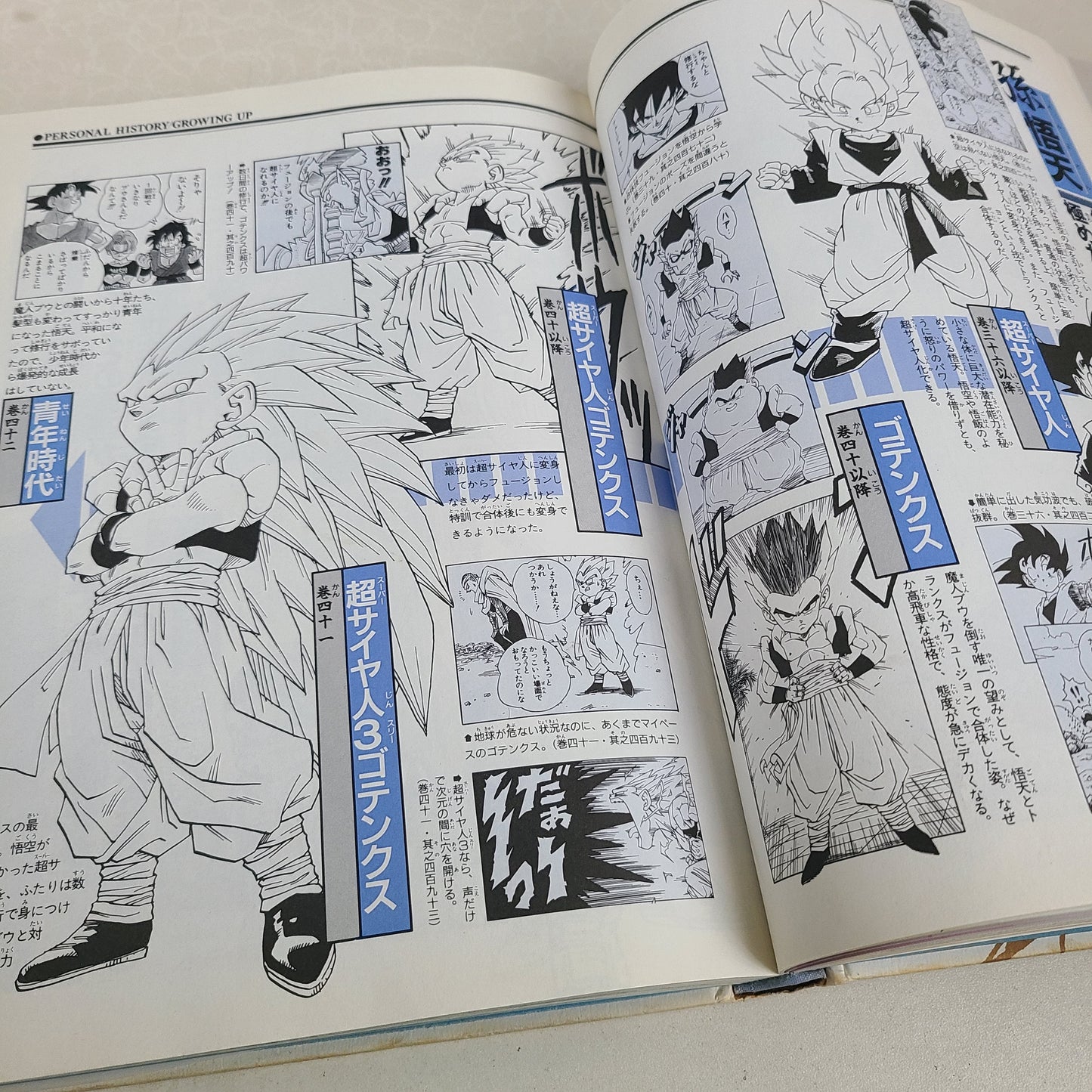 DRAGON BALL DAIZENSHU 2 "Story Guide"