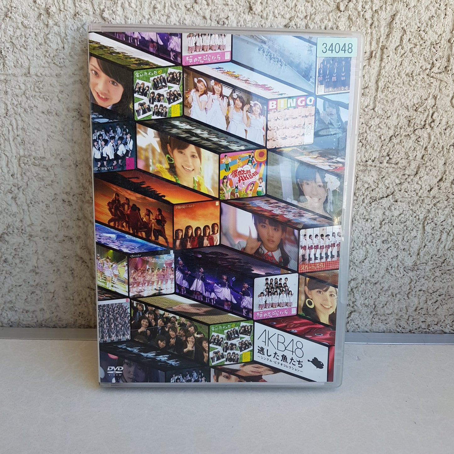 AKB48 Nogashita Sakanatachi ~Single Video Collection~