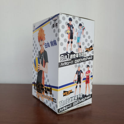 HINATA SHOYO - DXF FIGURE (BANPRESTO)