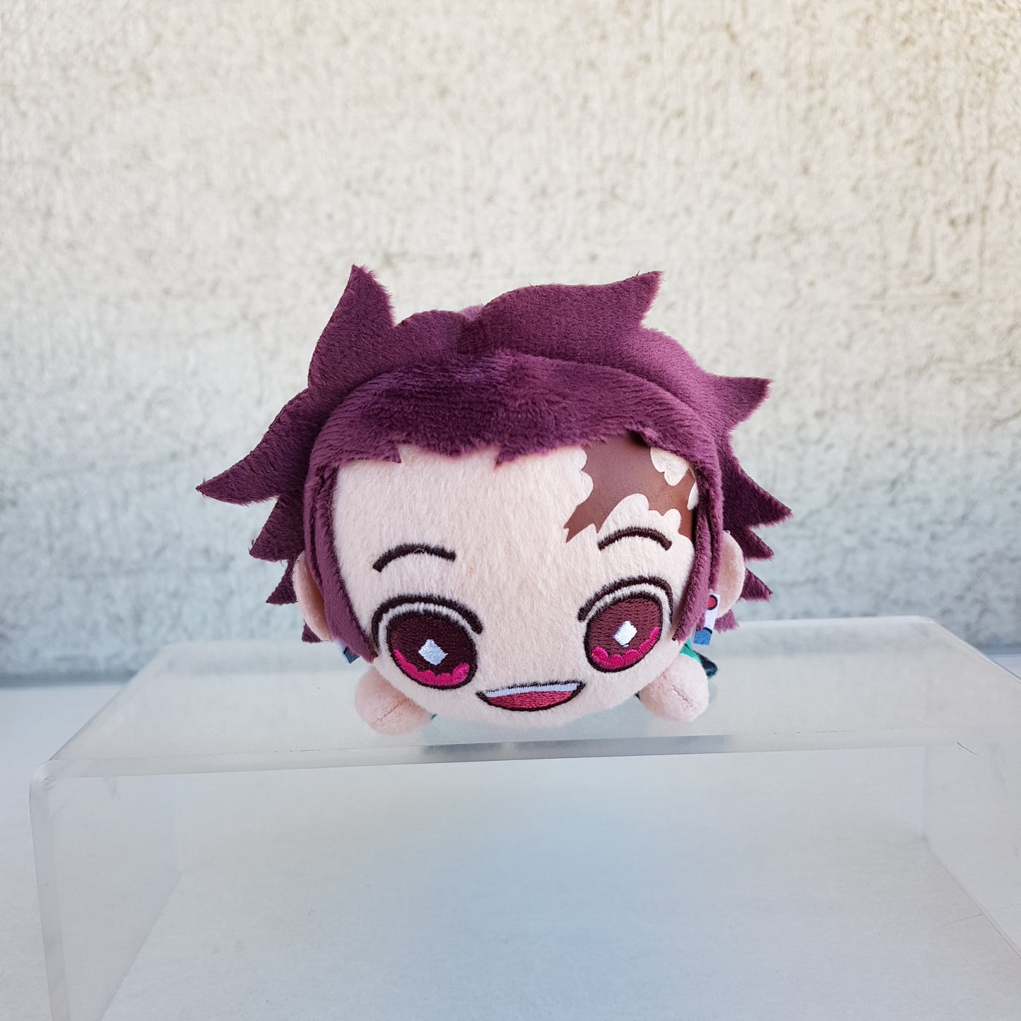 Nesoberi Tanjiro Kamado